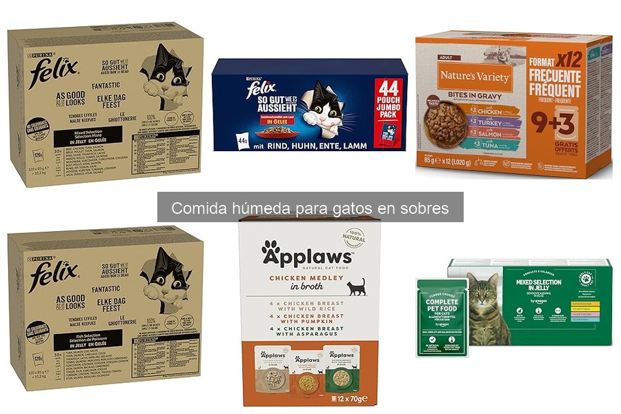 Comida Húmeda en Sobres para Gatos con Alergias: ¿Es Segura?