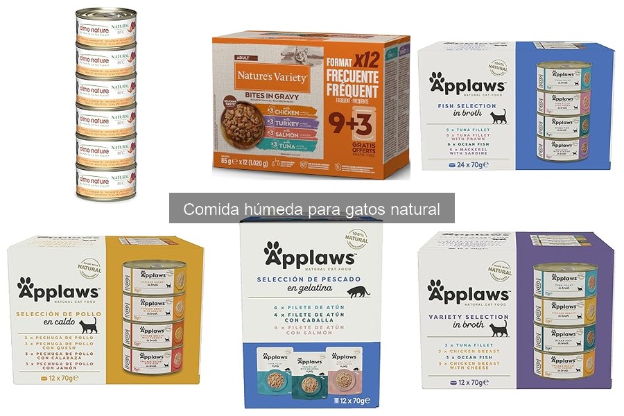 Comida húmeda natural para gatos con alergias: ¿es segura?