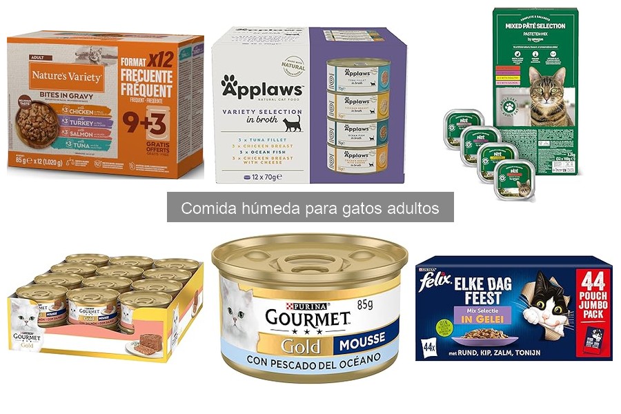 Comida húmeda para gatos adultos: beneficios y componentes