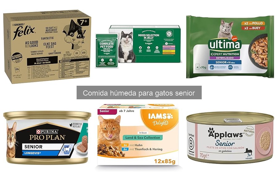 Comida Húmeda para Gatos Senior: Beneficios en Hidratación