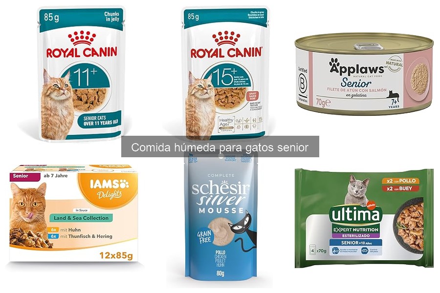 Comida húmeda para gatos senior: beneficios y tipos