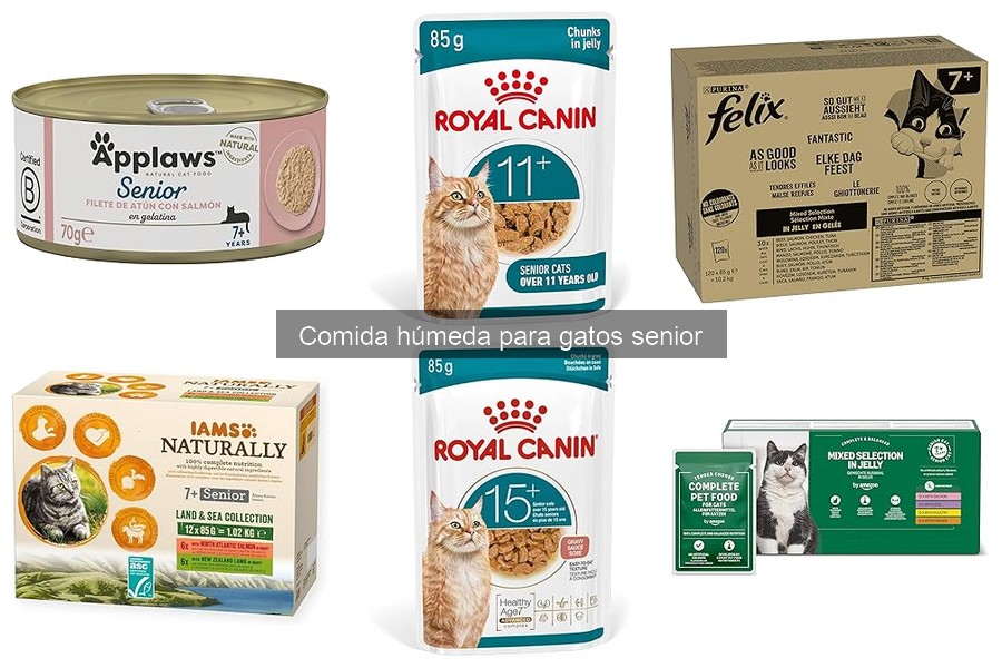Comida húmeda para gatos senior con necesidades dietéticas