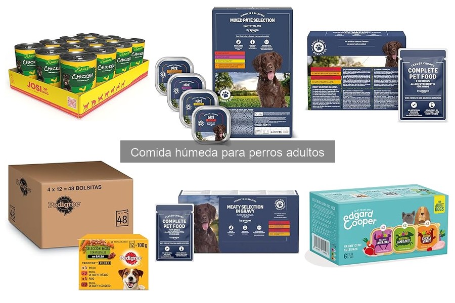 Comida húmeda para perros adultos: Dónde comprar a buen precio