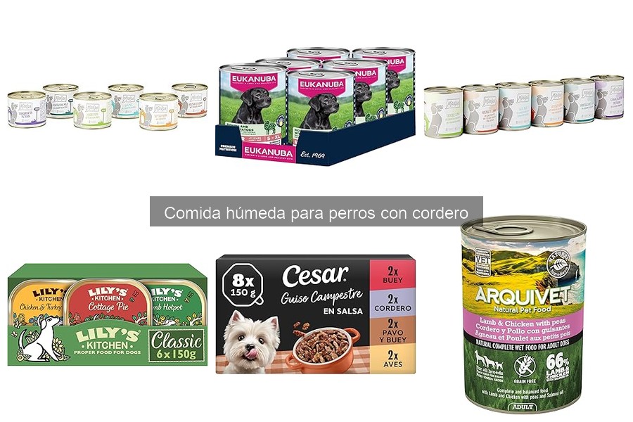Comida Húmeda para Perros con Cordero: Beneficios y Características