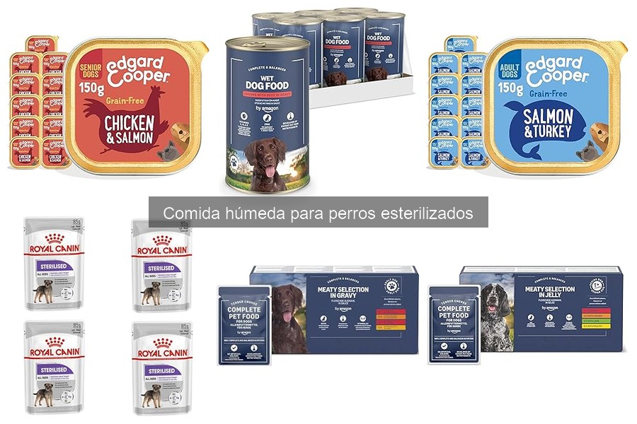 Comida húmeda para perros esterilizados: beneficios y características