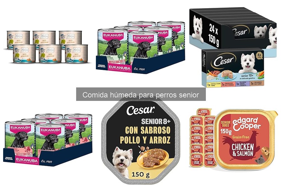 Comida húmeda para perros senior con problemas de salud