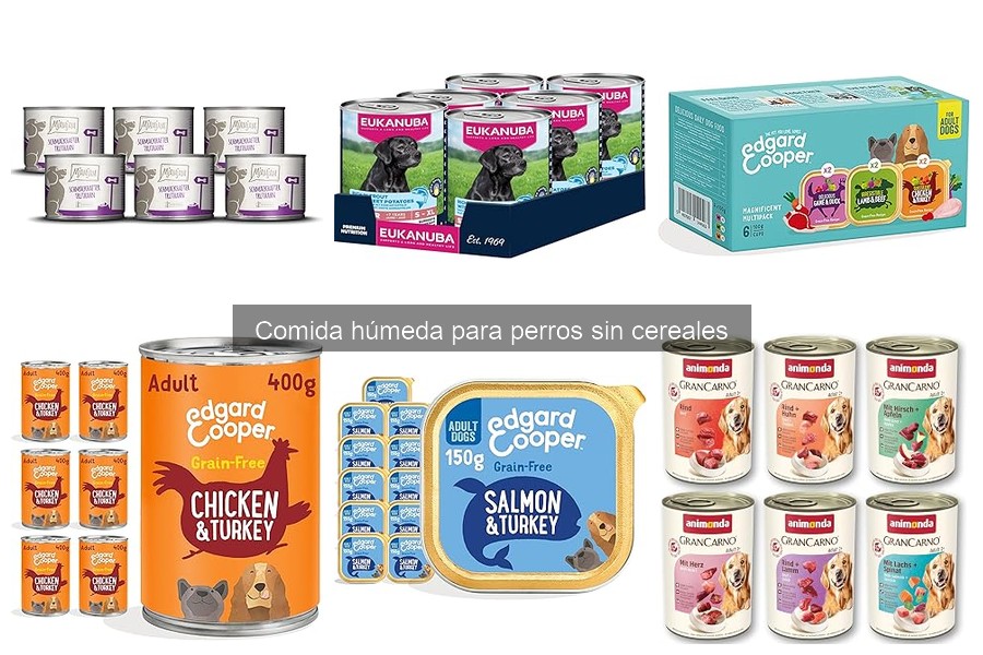 Comida Húmeda para Perros Sin Cereales: Beneficios y Características