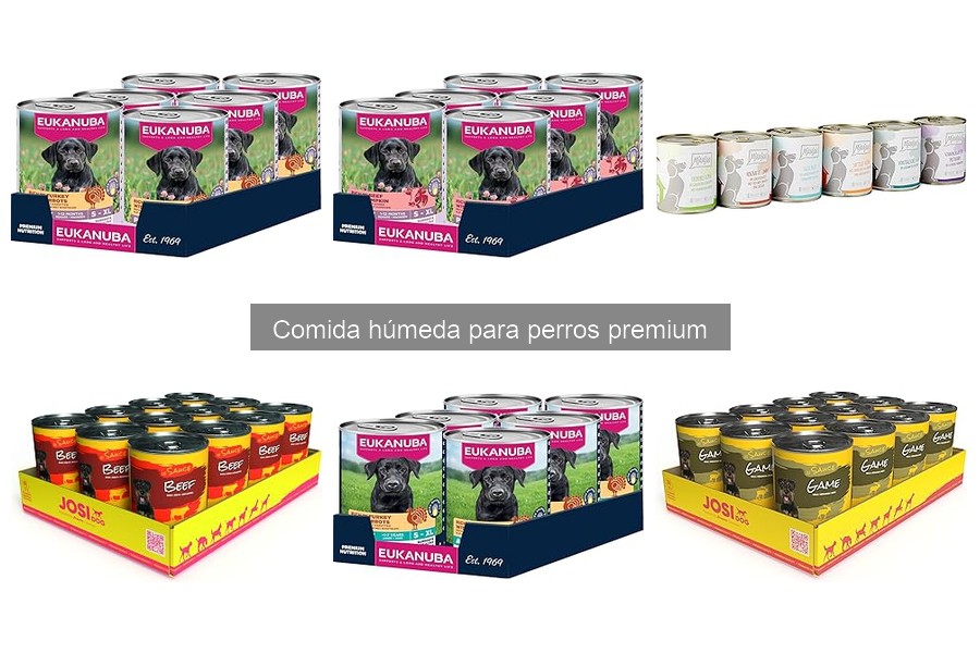 Comida húmeda premium para perros: beneficios y características