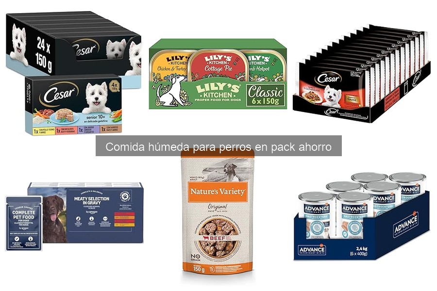 Comida húmeda vs. comida seca para perros: opiniones y comparativa
