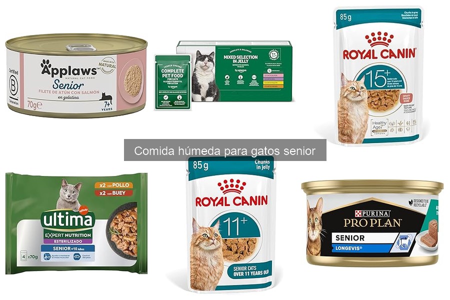Comida húmeda vs. semi-húmeda para gatos senior: ¿cuál elegir?
