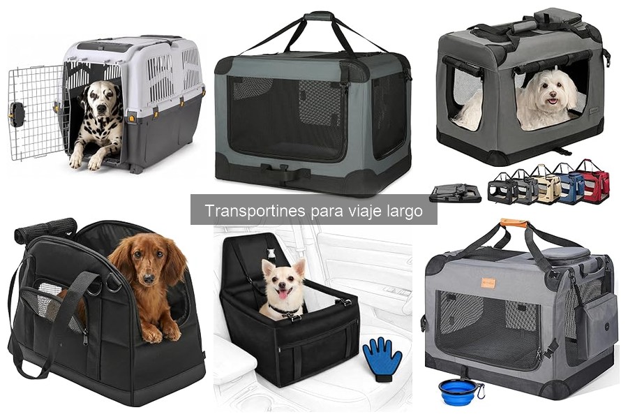 Cómo acostar a tu mascota al transportín para viajes largos