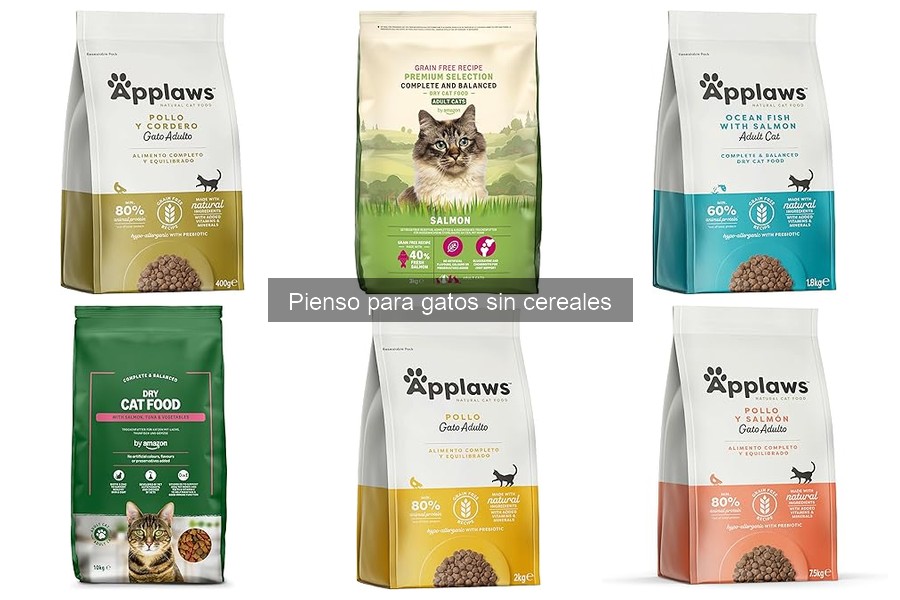Cómo acostumbrar a tu gato a un nuevo pienso sin cereales