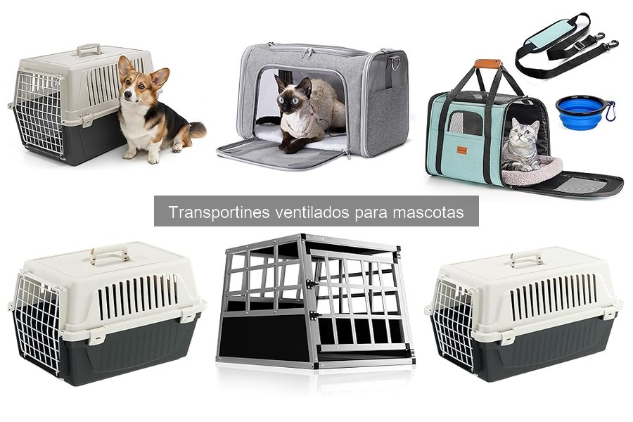 Cómo acostumbrar a tu mascota a un transportín ventilado