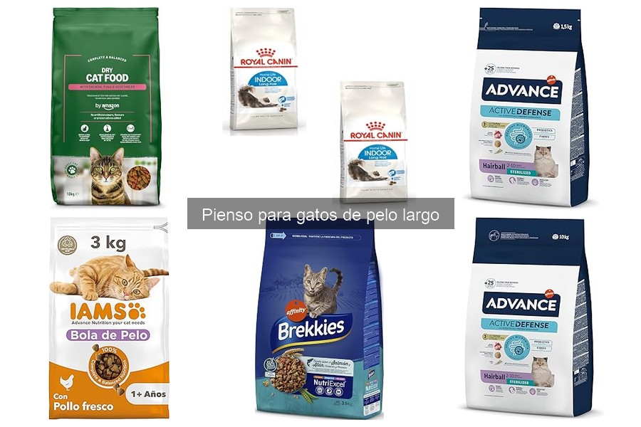 Cómo adaptar la dieta de gatos de pelo largo en cada etapa
