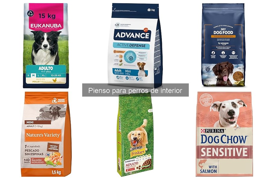 Cómo adaptar la dieta de tu perro de interior de manera efectiva
