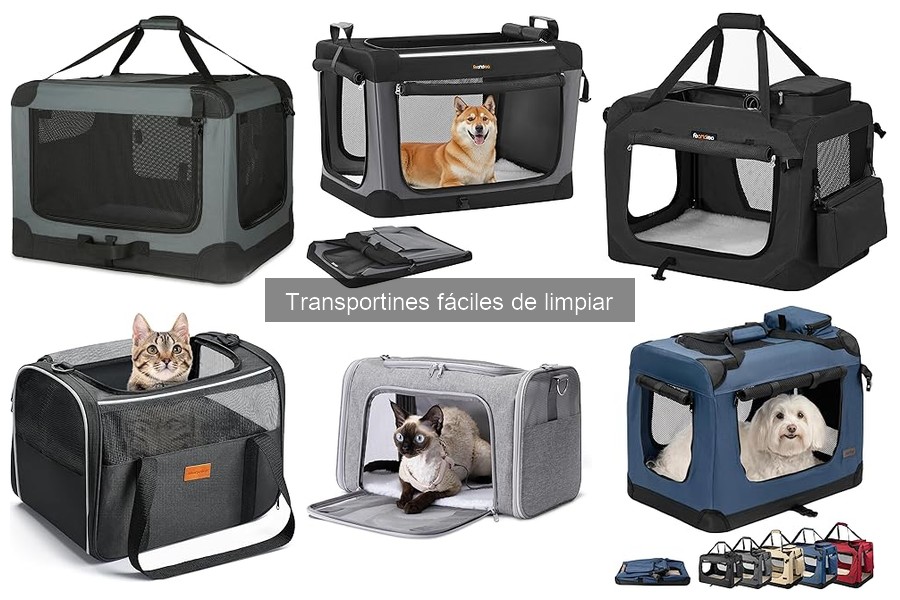 Cómo Adaptar un Transportín Fácil de Limpiar para Gatos
