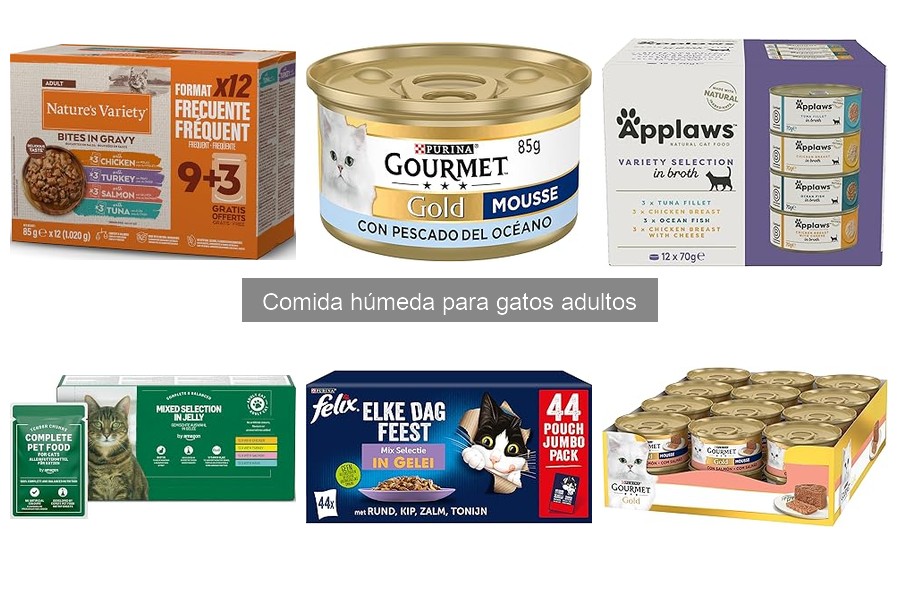 Cómo almacenar comida húmeda para gatos de forma adecuada