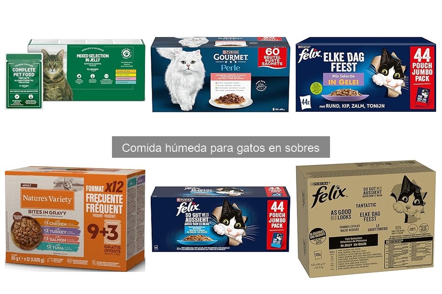 Cómo almacenar comida húmeda para gatos en sobres correctamente