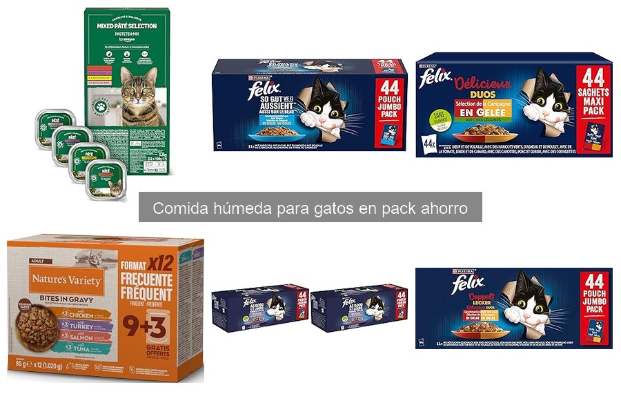 Cómo Almacenar Comida Húmeda para Gatos: Guía Práctica