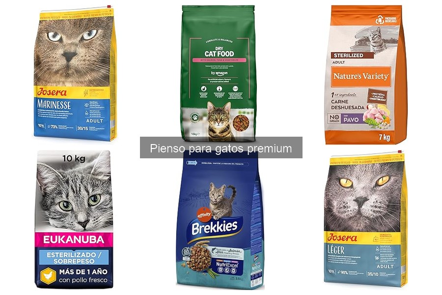 Cómo almacenar correctamente el pienso para gatos premium