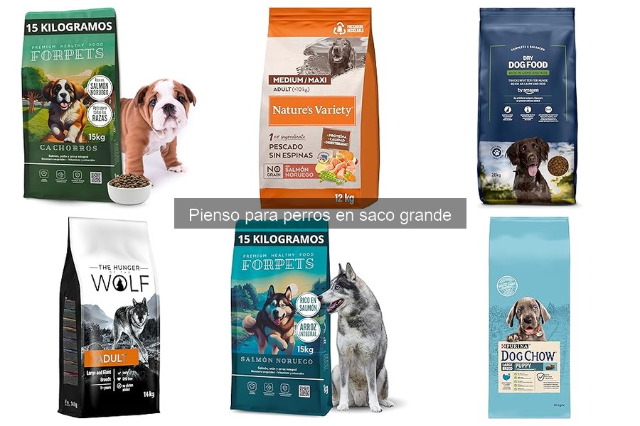 Cómo almacenar correctamente el pienso para perros en saco grande