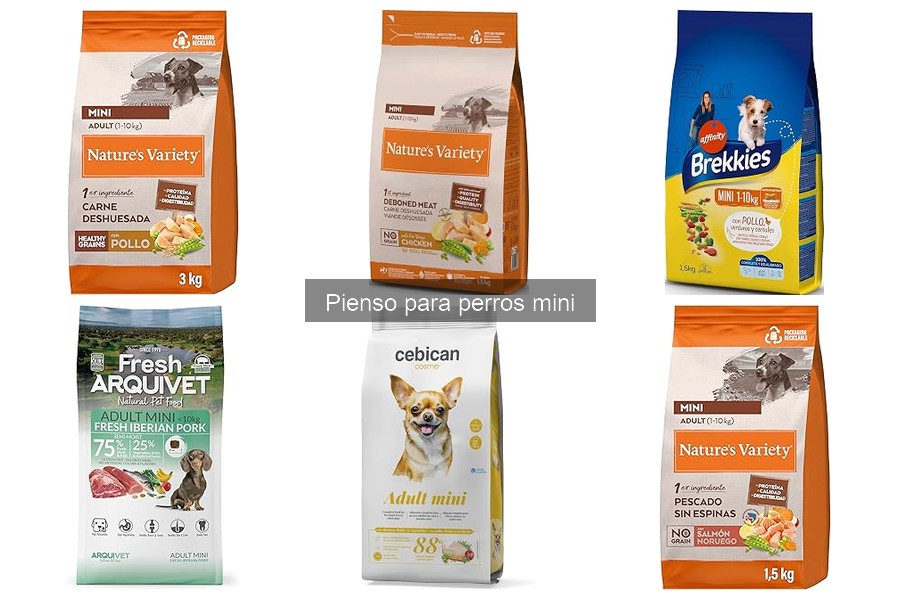 Cómo almacenar correctamente el pienso para perros mini