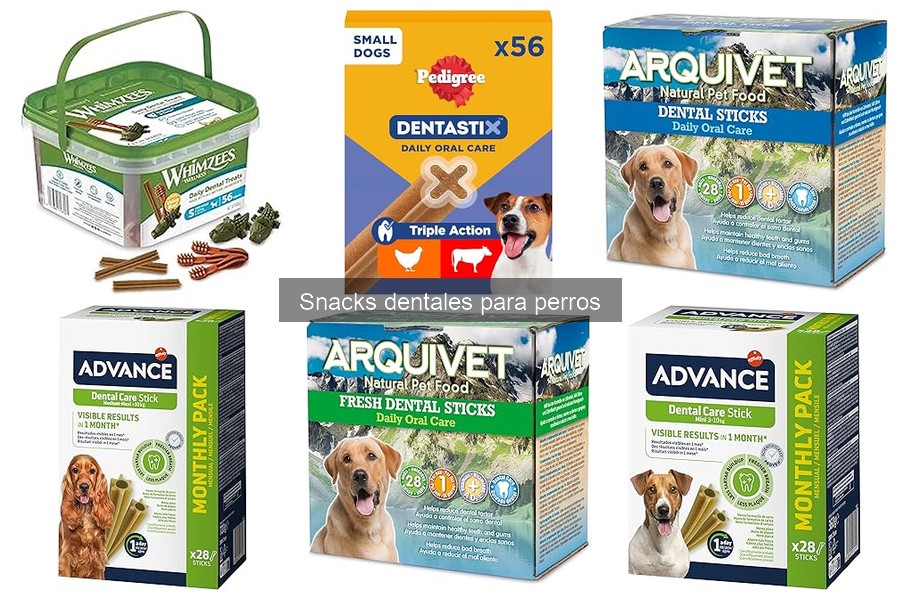 Cómo almacenar snacks dentales para perros correctamente