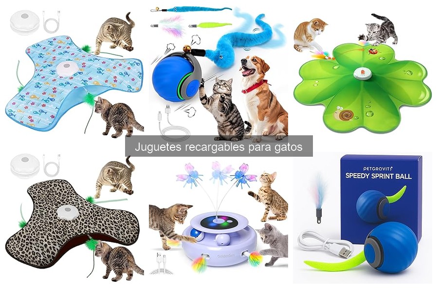Cómo cargar y usar juguetes recargables para gatos