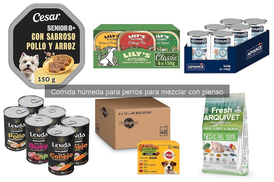 Cómo conservar la comida húmeda para perros abierta
