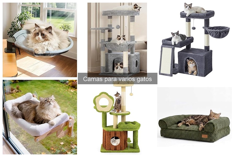 Cómo cuidar las camas de gatos en invierno: Guía práctica