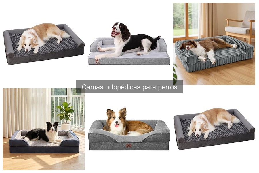 Cómo cuidar y mantener camas ortopédicas para perros