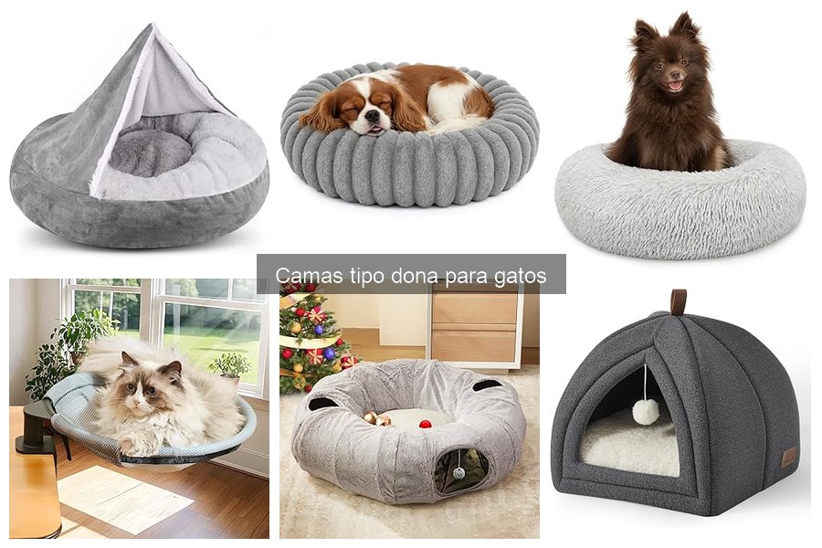 Cómo cuidar y mantener camas tipo dona para gatos