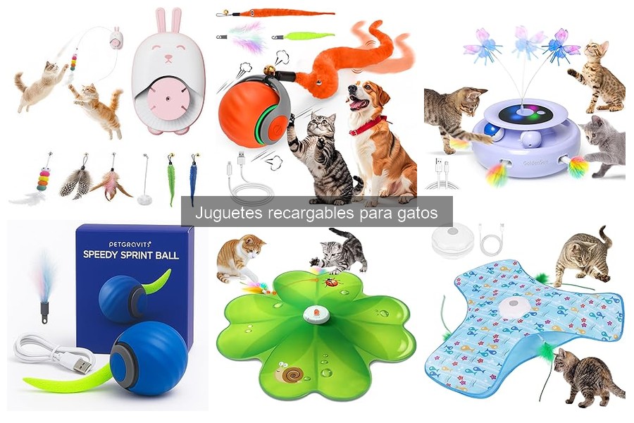 Cómo cuidar y mantener juguetes recargables para gatos