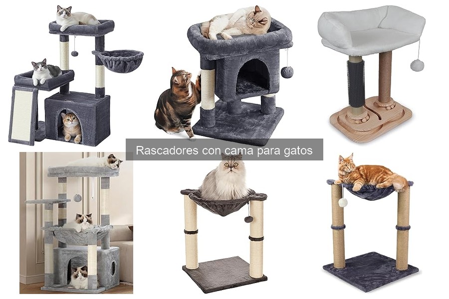 Cómo cuidar y mantener un rascador con cama para gatos