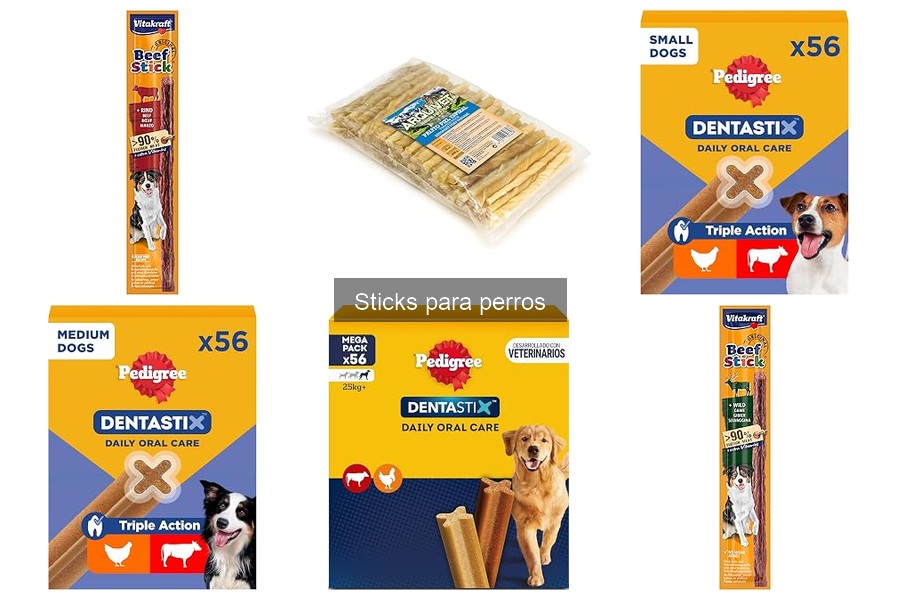 Cómo dar sticks a tu perro: guía para hacerlo correctamente