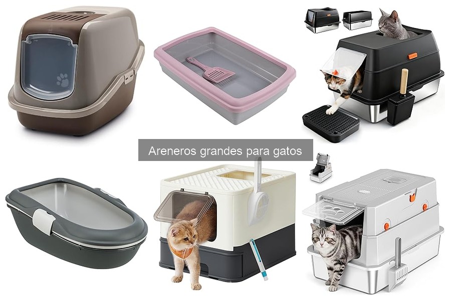 Cómo elegir areneros grandes para gatos: guía de compra