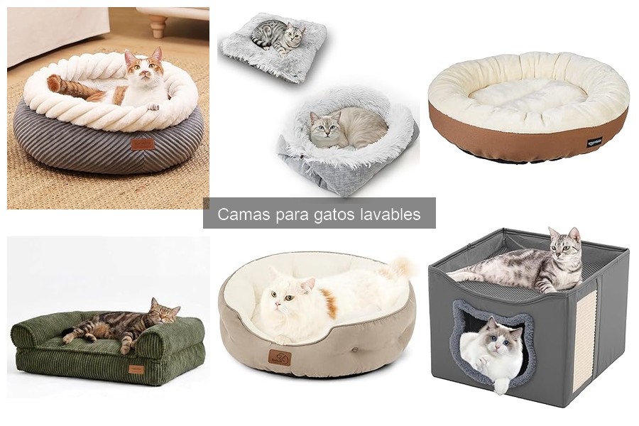 Cómo elegir camas lavables para gatos mayores