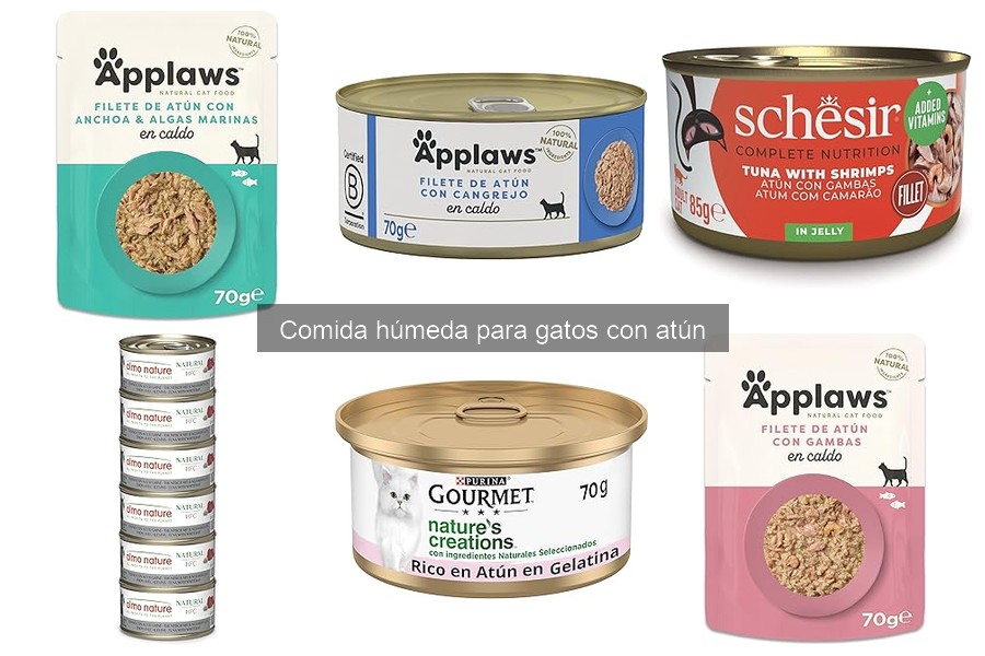 Cómo Elegir Comida Húmeda para Gatos con Atún