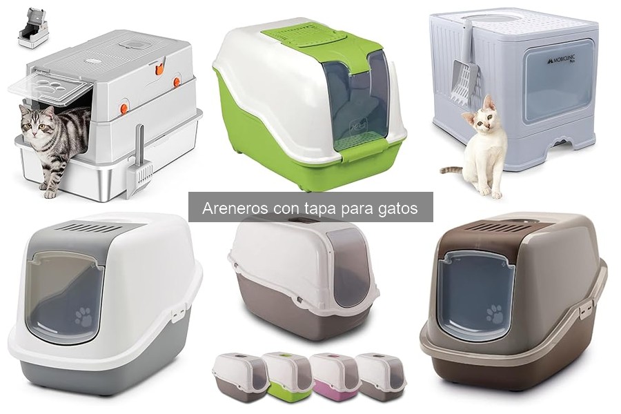 Cómo elegir el arenero con tapa perfecto para tu gato