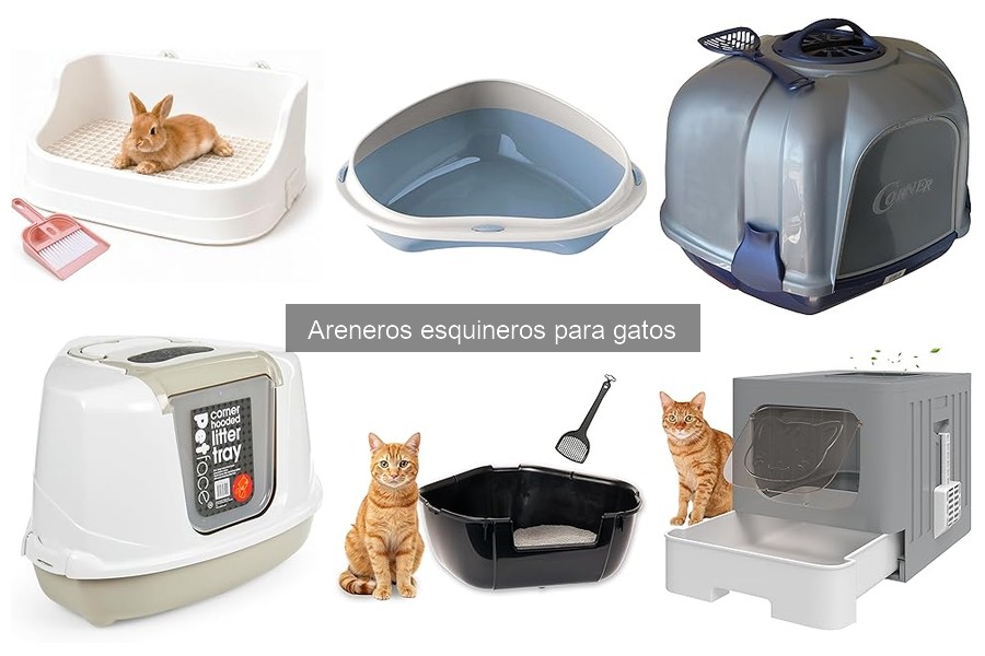 Cómo elegir el arenero esquinero ideal para tu gato