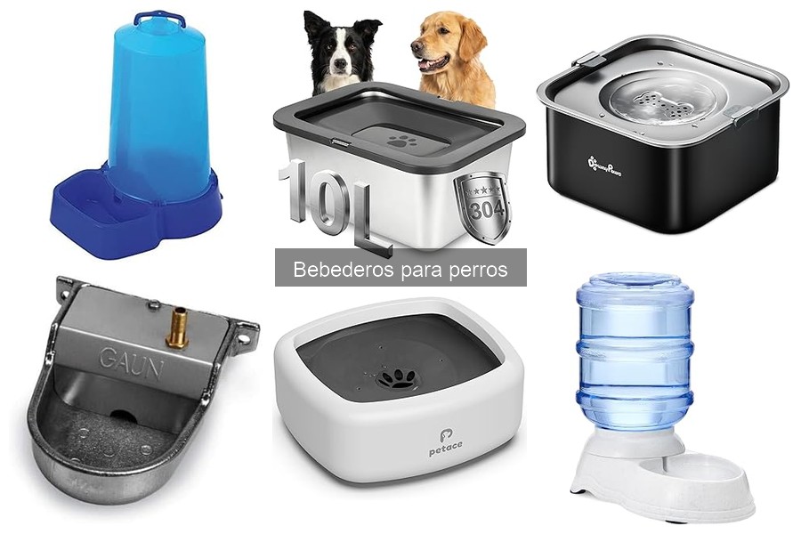 Cómo elegir el bebedero adecuado para tu perro