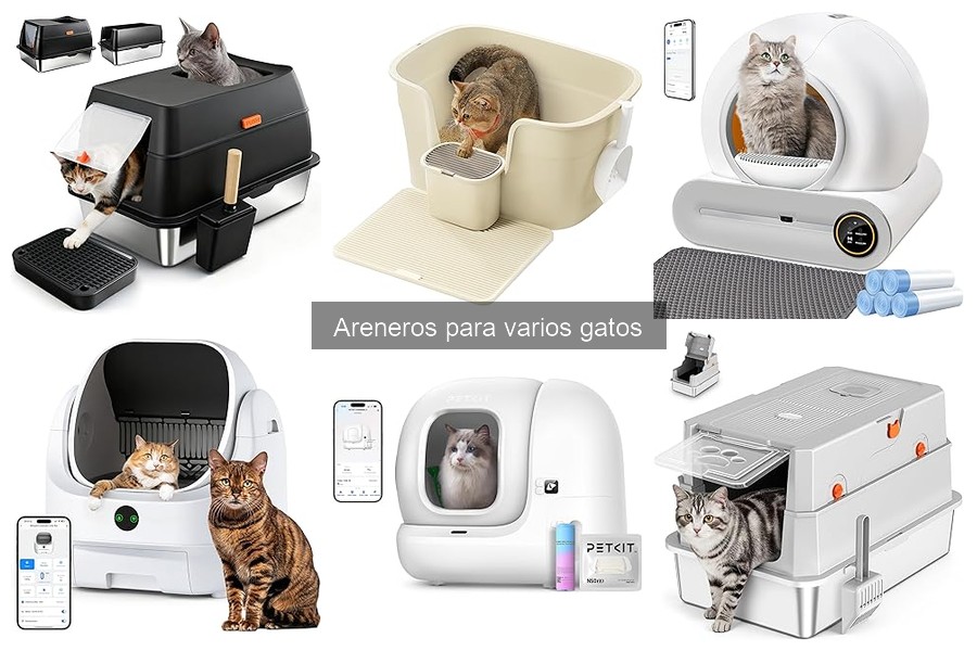 Cómo elegir el mejor arenero para varios gatos
