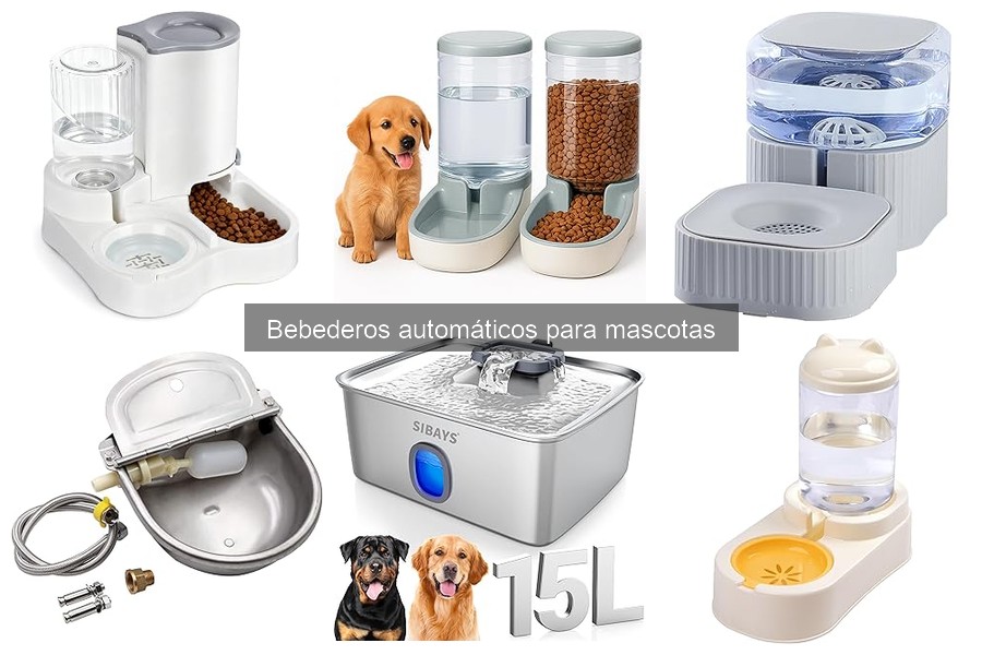 Cómo elegir el mejor bebedero automático para mascotas