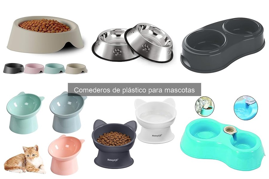 Cómo elegir el mejor comedero de plástico para gatos