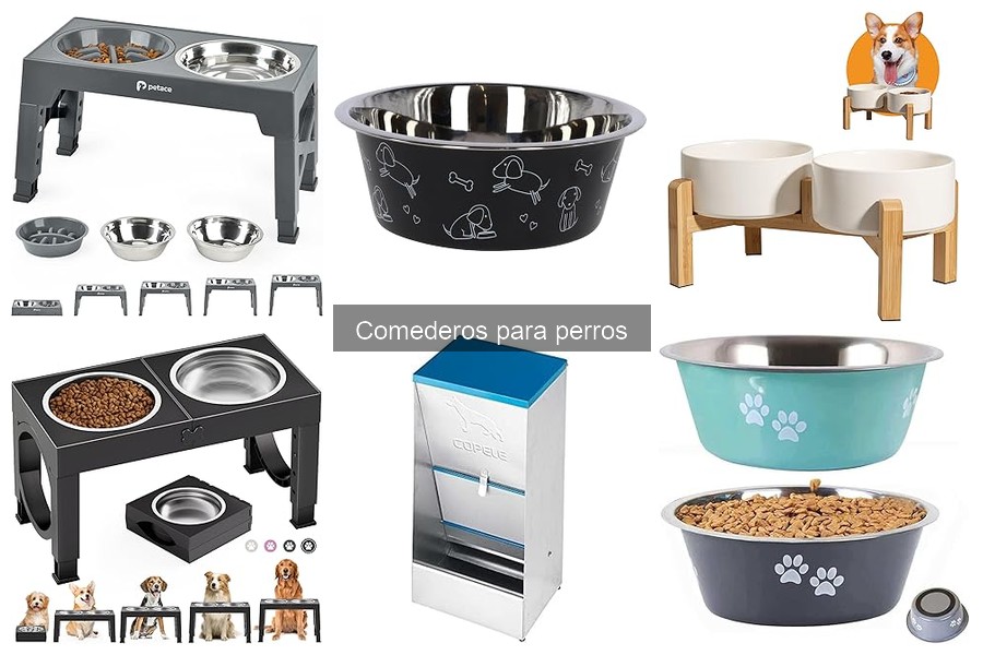 ** Cómo elegir el mejor comedero para perros: guía práctica