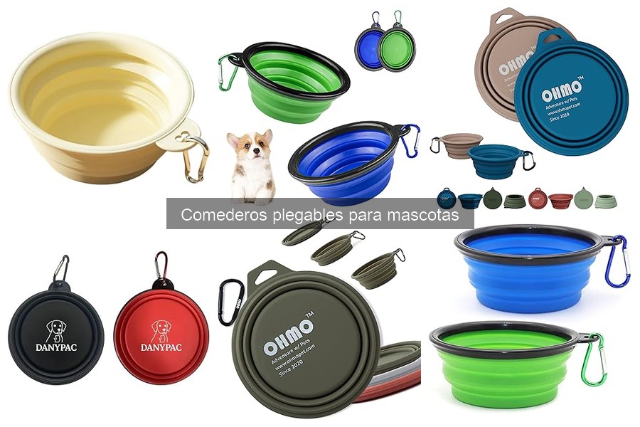Cómo elegir el mejor comedero plegable para tu mascota