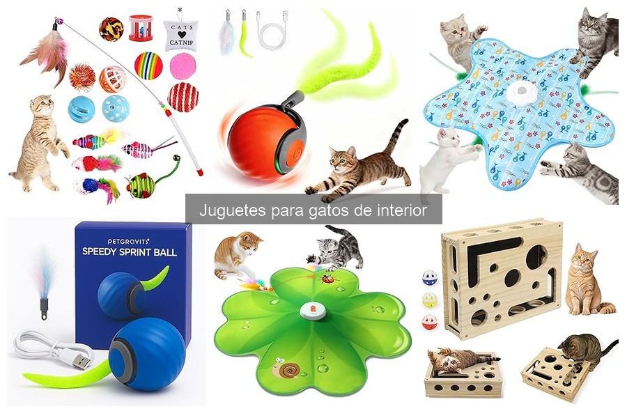 Cómo elegir el mejor juguete para gatos de interior