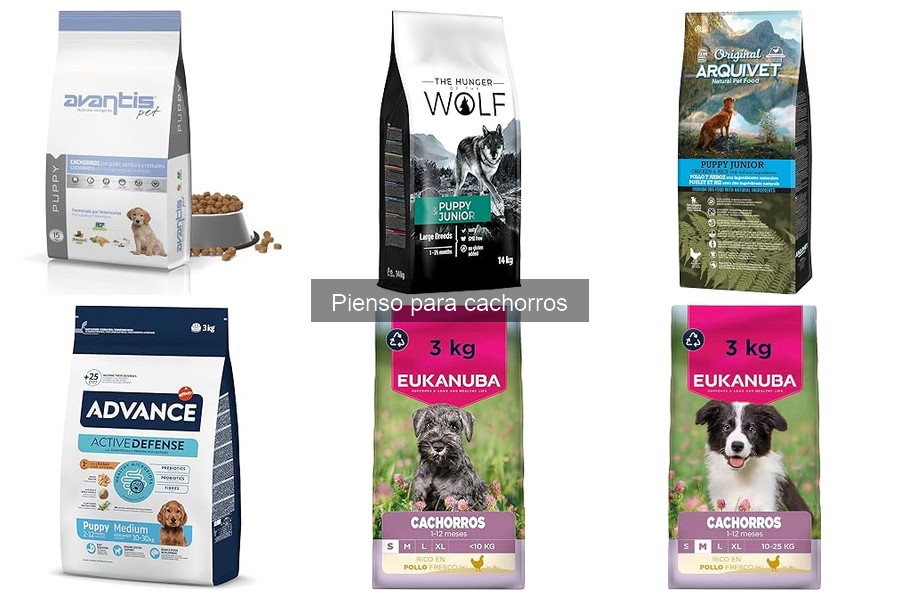 Cómo elegir el mejor pienso para cachorros: guía práctica