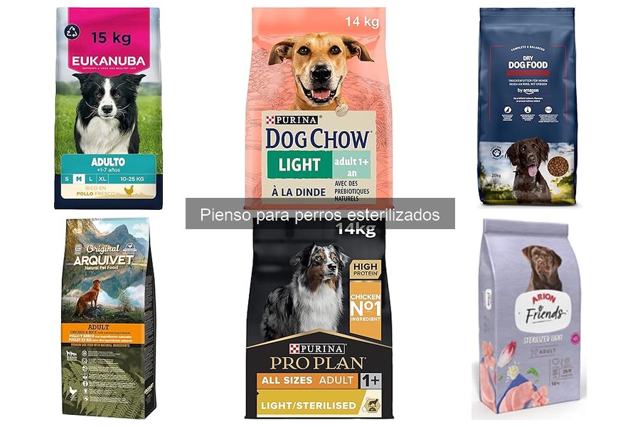 Cómo elegir el mejor pienso para perros esterilizados