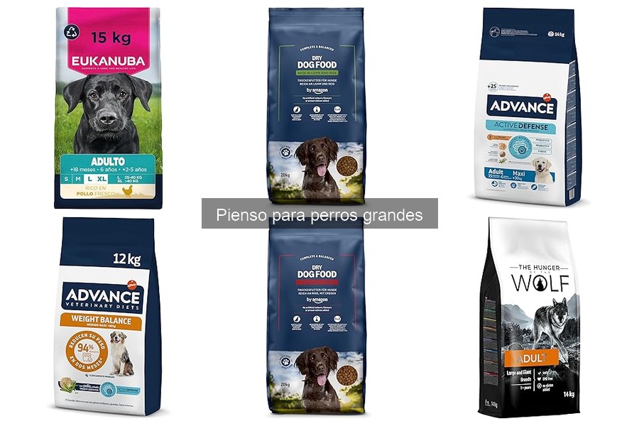 Cómo elegir el mejor pienso para perros grandes